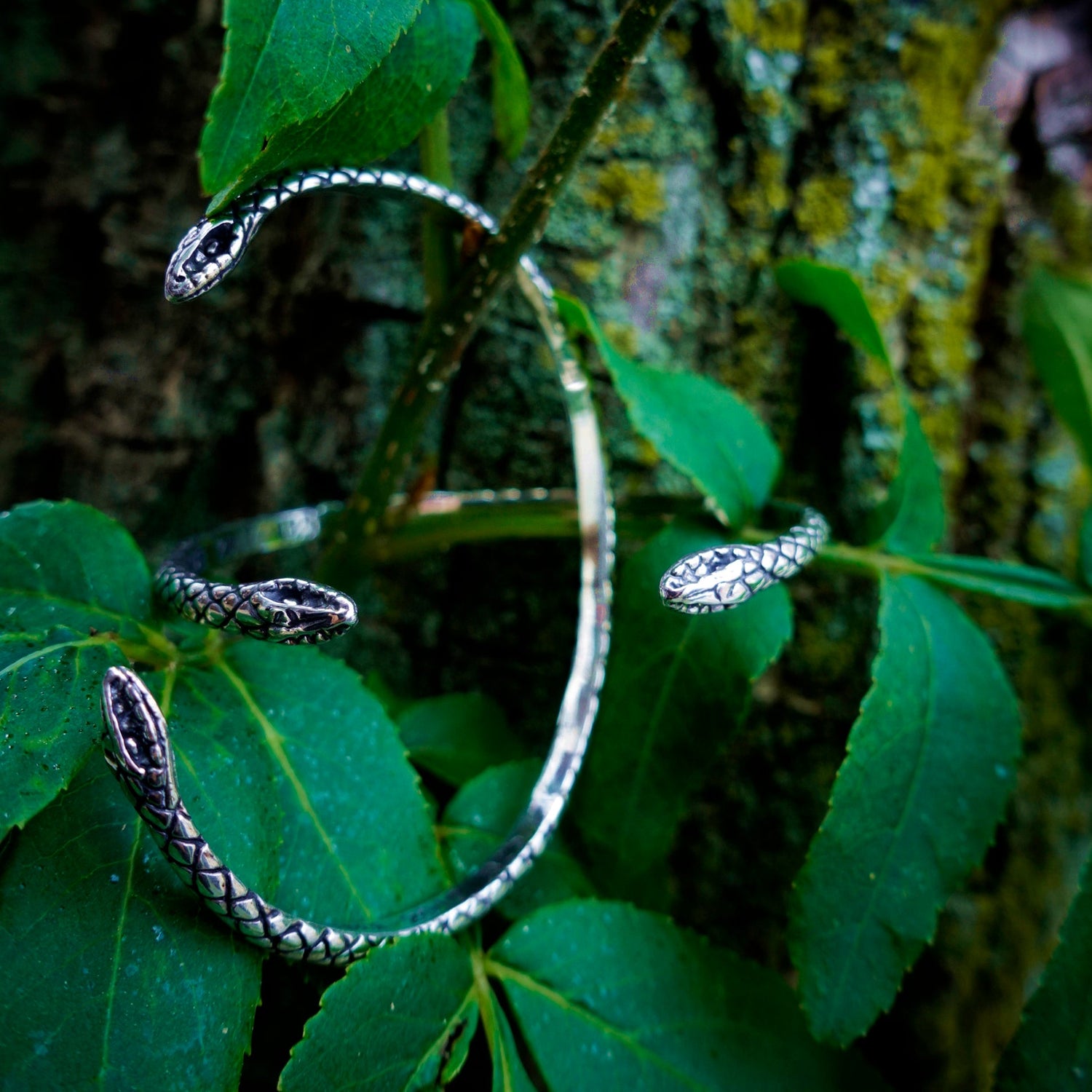 蛇・爬虫類モチーフ