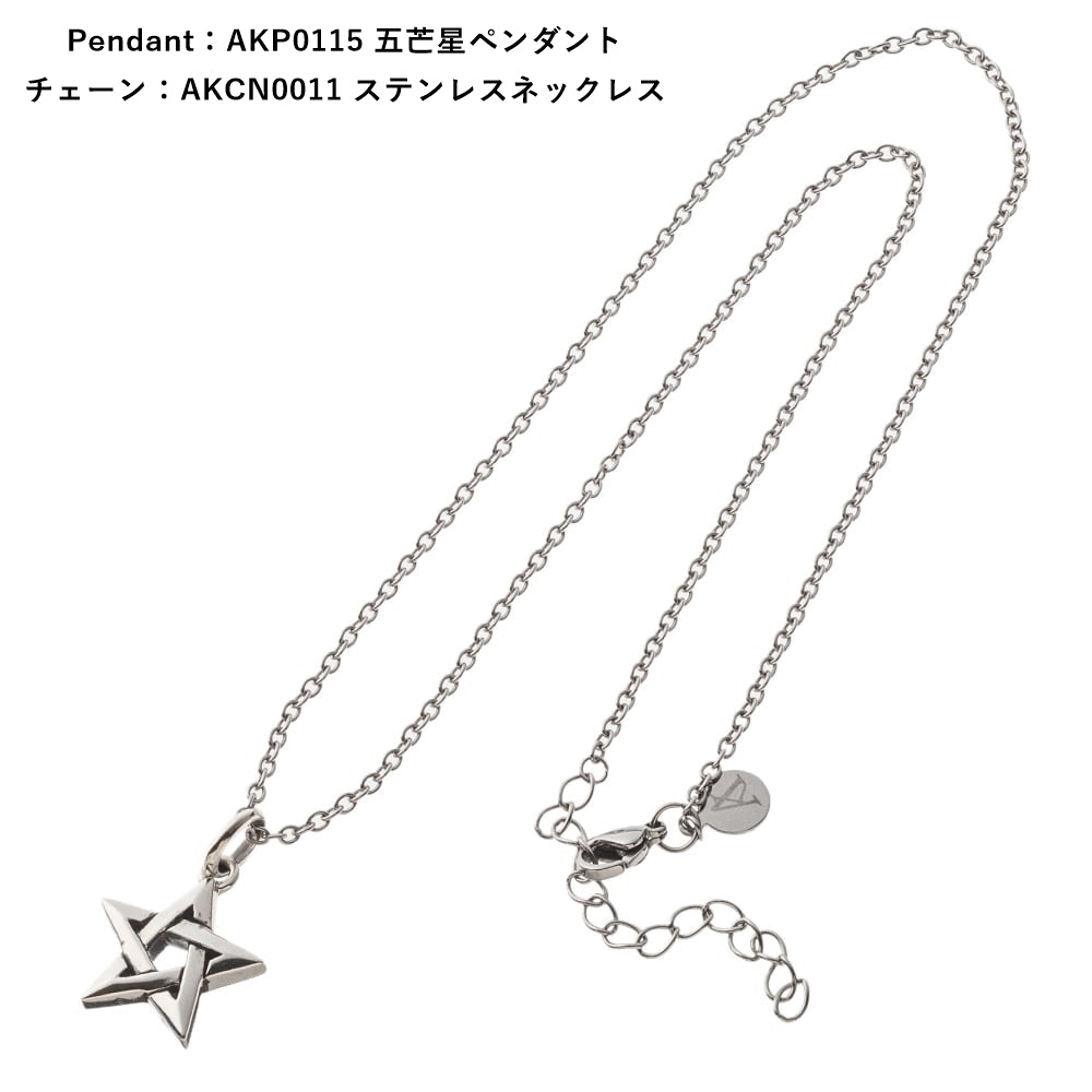 【Artemis Kings アルテミスキングス】AKCN0011  AKステンレスチェーン40-45cm