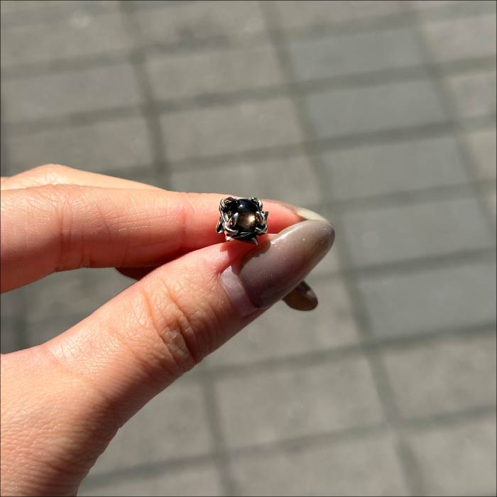 【Bizarre】SPJ022 Coyote Silver Earrings