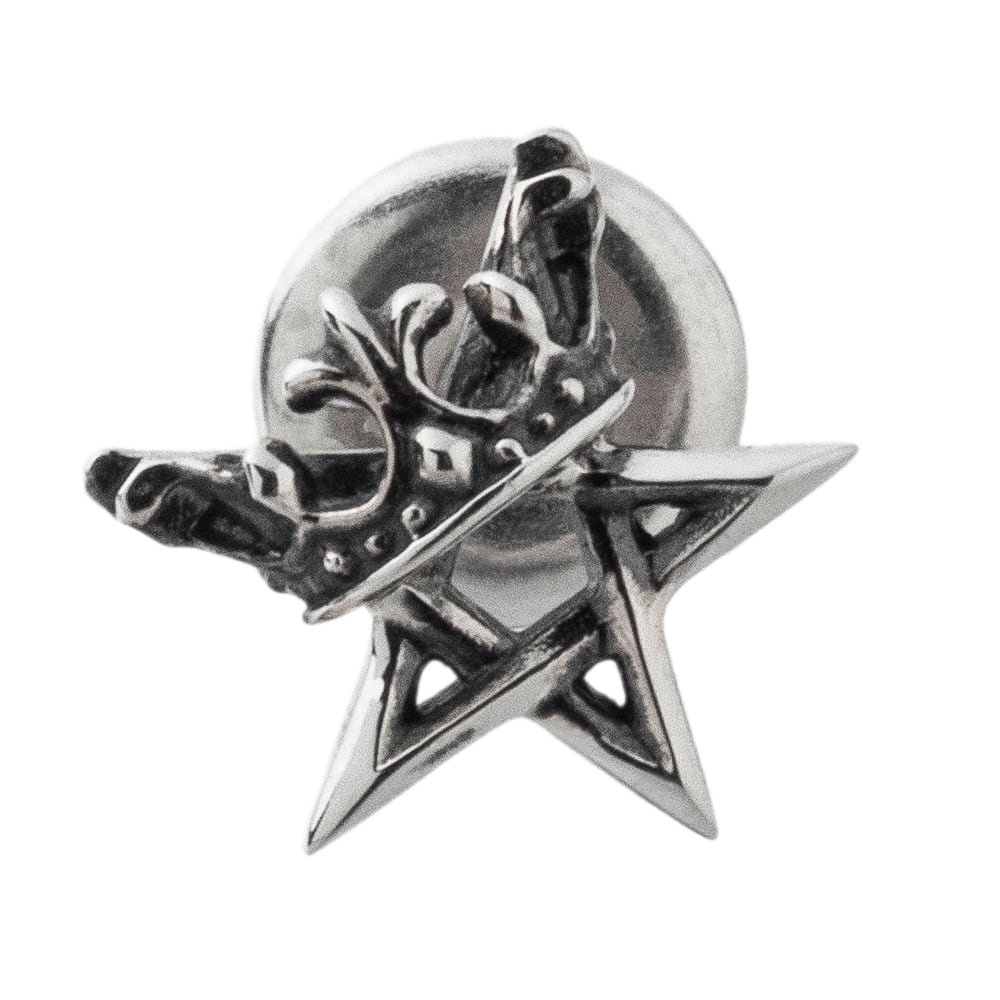 【Artemis Kings アルテミスキングス】AKE0102 王冠５芒星ピアス